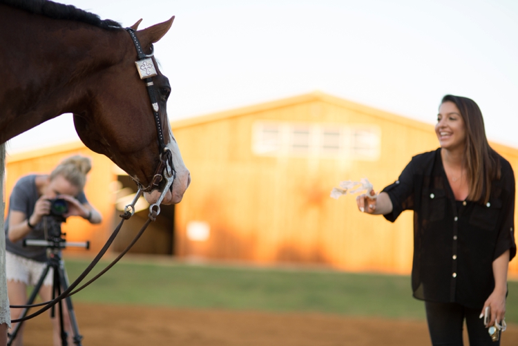 Kirstie Marie Photography Promo Video Behind the Scenes Whitesboro Texas AQHA APHA Fine Art Horse Photography_0074