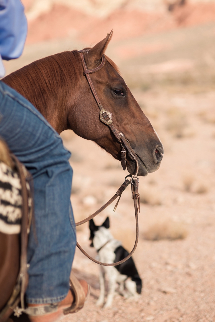 Justin and Beth Engagement NCHA Cutting Horse Red Rock Canyon Las Vegas Nevada Kirstie Marie Photography Fine Art Equine Photographer_0018