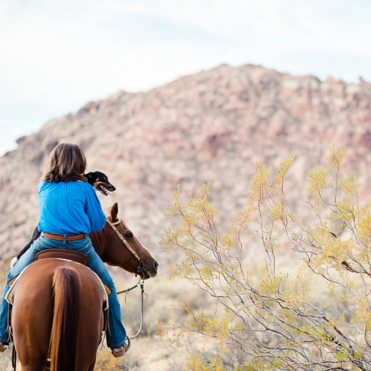 Justin and Beth Engagement NCHA Cutting Horse Red Rock Canyon Las Vegas Nevada Kirstie Marie Photography Fine Art Equine Photographer_0027