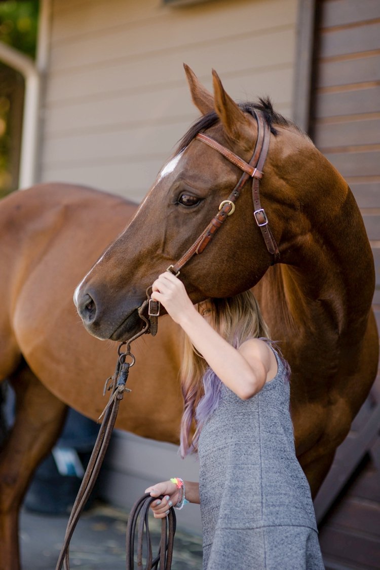 2015 Bloopers Kirstie Marie Photography Texas Equine Photographer_0026