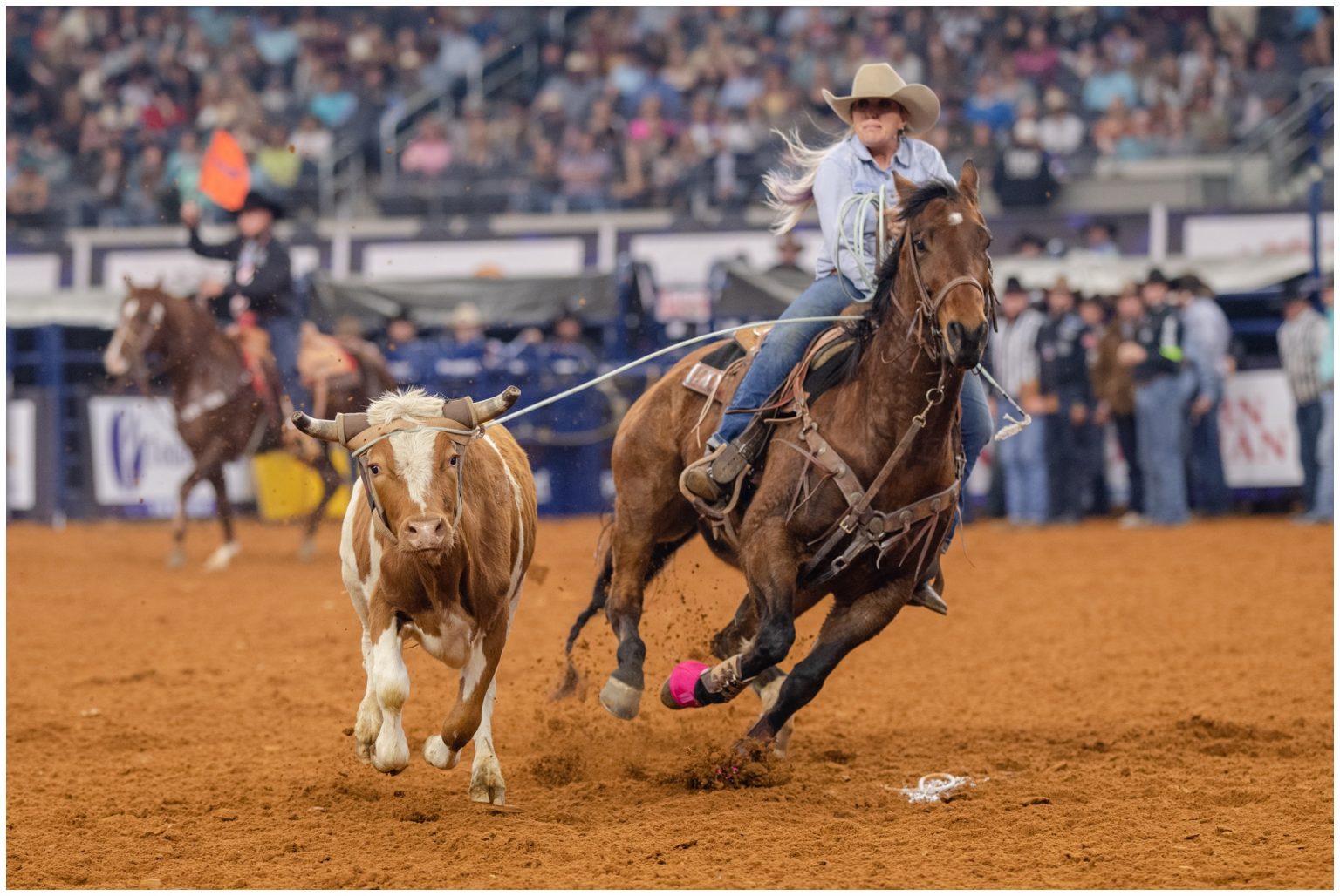 The American Rodeo - Kirstie Marie Photography