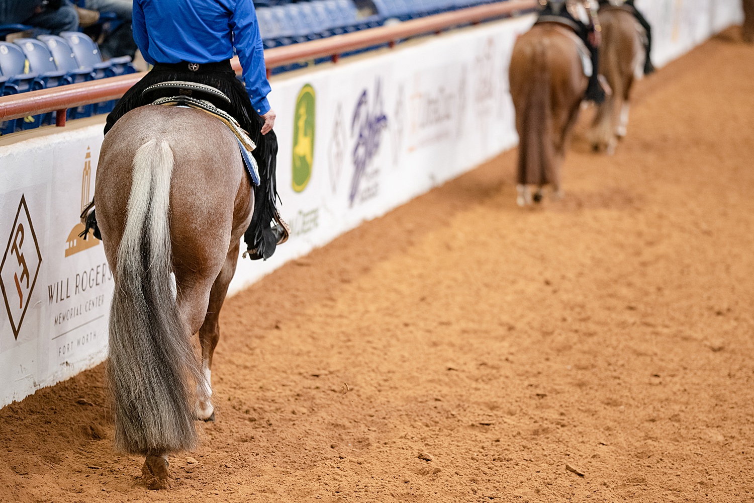 2020 APHA World Show Kirstie Marie Photography