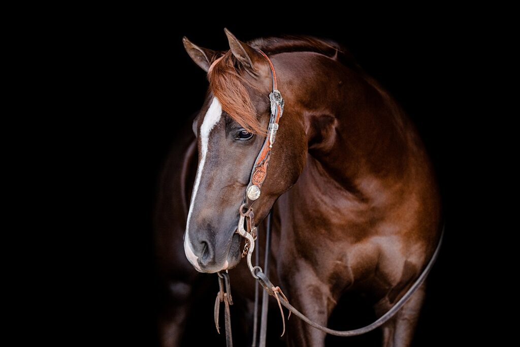 Diamond Creek Ranch - Kirstie Marie Photography