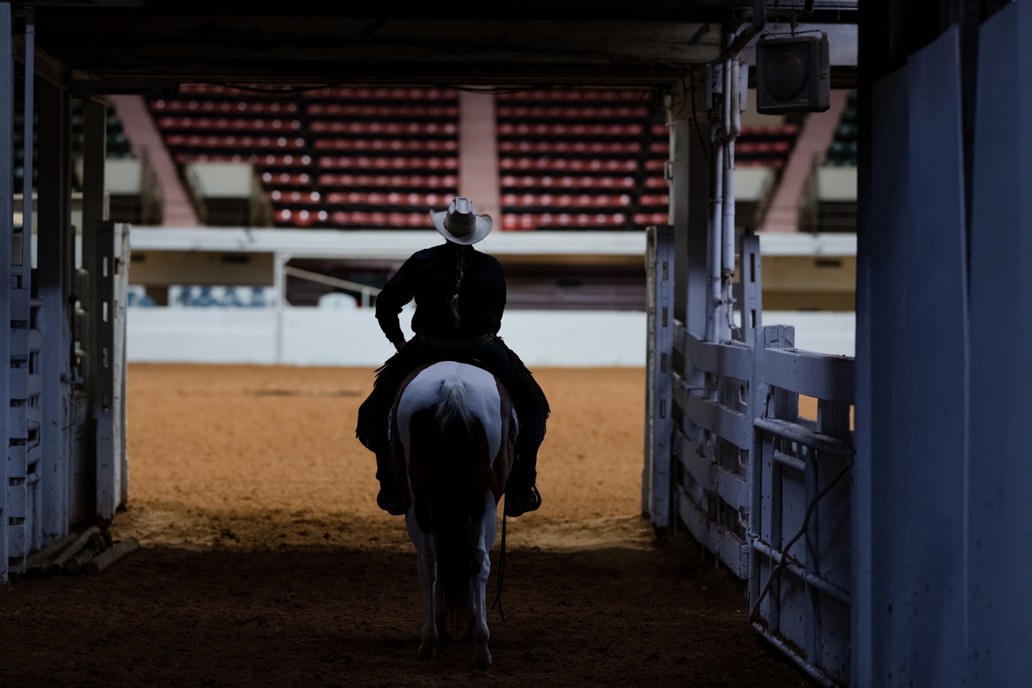 2021 APHA World Show Kirstie Marie Photography