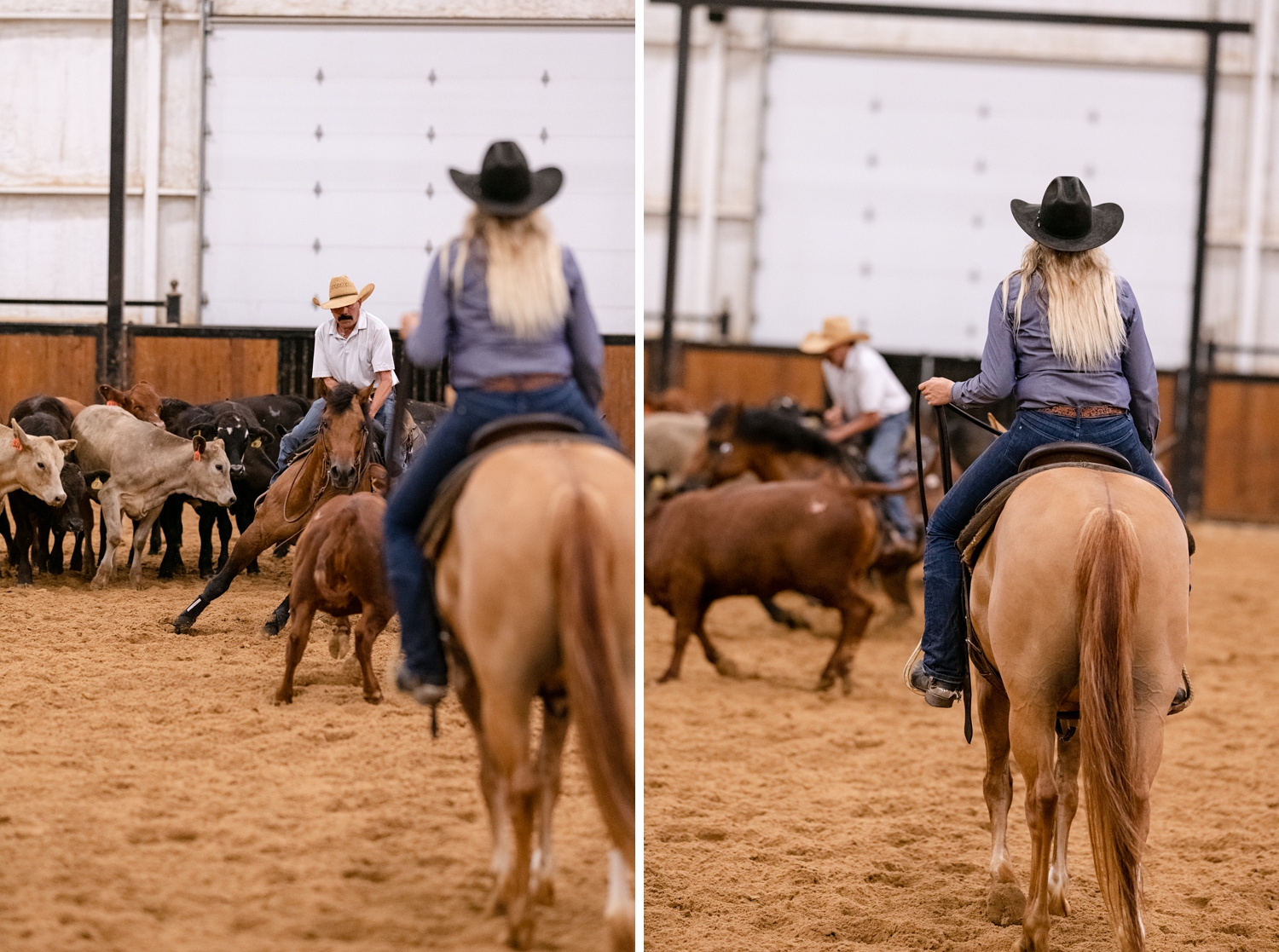 NCHA Cutting Horse Chatter • WINTER 2022 • Vol.75 No.4 by Cowboy Publishing  Group - Issuu